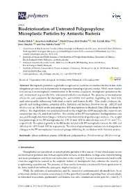 Biodeterioration of Untreated Polypropylene Microplastic Particles by Antarctic Bacteria