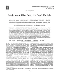 Methylecgonidine Coats the Crack Particle