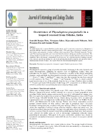 Occurrence of Physaloptera Praeputialis in a Leopard Rescued