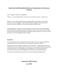 Small-Scale Gold Mining Related Mercury Contamination in the Guianas: a Review