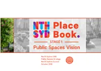 STAGE 1 Public Spaces Vision