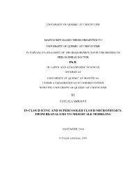 In-Cloud Icing and Supercooled Cloud Microphysics: from Reanalysis to Mesoscale Modeling