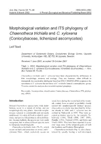 Morphological Variation and ITS Phylogeny of Chaenotheca Trichialis and C