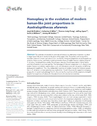 Homoplasy in the Evolution of Modern Human- Like Joint Proportions in Australopithecus Afarensis