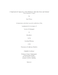 Tafoya Berkeley 0028E 17474.Pdf
