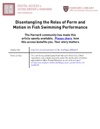 Disentangling the Roles of Form and Motion in Fish Swimming Performance
