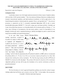 The Mevalonate-Independent Pathway to Isoprenoid Compounds: Discovery, Elucidation, and Reaction Mechanisms