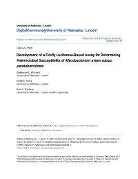 Development of a Firefly Luciferase-Based Assay For