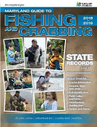 Maryland Guide To