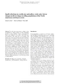 Ovule Ratio, but No Changes in Flower Shape in Selfing Populations of The