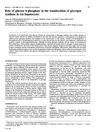 Role of Glucose 6-Phosphate in the Translocation of Glycogen Synthase in Rat Hepatocytes