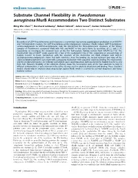 Substrate Channel Flexibility in Pseudomonas Aeruginosa Murb Accommodates Two Distinct Substrates