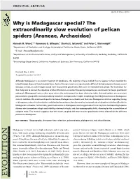 Why Is Madagascar Special&#X0003f