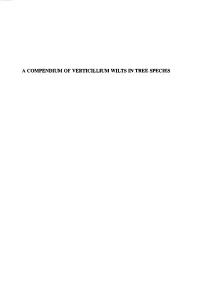 A Compendium of Verticillium Wilts in Tree Species a Compendium of Verticillium Wilts in Tree Species