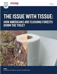 The Issue with Tissue: How Americans Are Flushing Forests Down the Toilet
