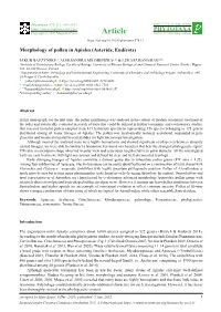 Morphology of Pollen in Apiales (Asterids, Eudicots)