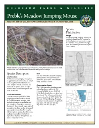 Preble's Meadow Jumping Mouse
