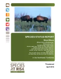 Status Report and Assessment of Wood Bison in the NWT (2016)