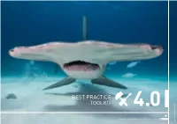 Best Practice Toolkit 4.0