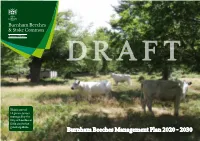 Burnham Beeches Management Plan 2020 - 2030 DRAFT