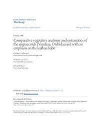 Comparative Vegetative Anatomy and Systematics of the Angraecoids (Vandeae, Orchidaceae) with an Emphasis on the Leafless Habit Barbara S