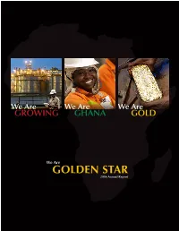 Golden Star Resources 2006 Annual Report