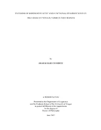 Patterns of Morphosyntactic and Functional Diversification In