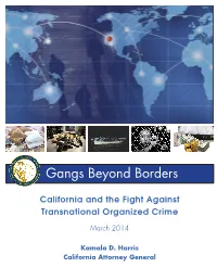 Gangs Beyond Borders