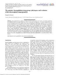 Phylogeny and Evolution of the Dissorophoid Temnospondyls