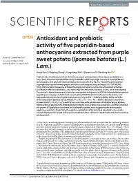 Antioxidant and Prebiotic Activity of Five Peonidin-Based Anthocyanins