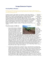 Forage Extension Program