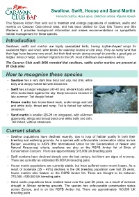 Introduction How to Recognise These Species Current Status