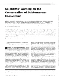 Scientists' Warning on the Conservation of Subterranean