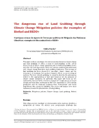 The Dangerous Rise of Land Grabbing Through Climate Change Mitigation Policies: the Examples of Biofuel and REDD+