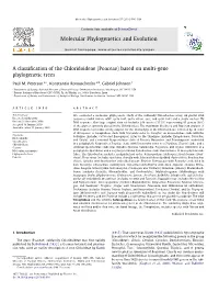 A Classification of the Chloridoideae (Poaceae)