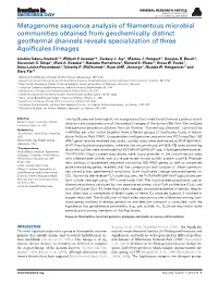 Metagenome Sequence Analysis of Filamentous Microbial Communities Obtained from Geochemically Distinct Geothermal Channels Revea