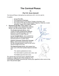 The Cervical Plexus by Prof