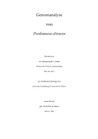 Genomanalyse Von Prodiamesa Olivacea