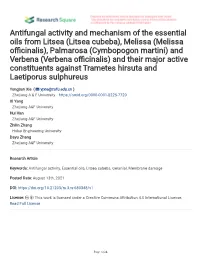 Antifungal Activity and Mechanism of the Essential Oils from Litsea