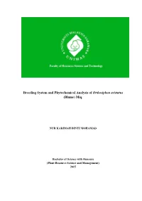 Breeding System and Phytochemical Analysis of Orthosiphon Aristatus (Blume) Miq
