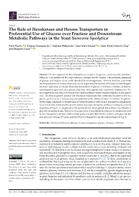 The Role of Hexokinase and Hexose Transporters in Preferential Use of Glucose Over Fructose and Downstream Metabolic Pathways in the Yeast Yarrowia Lipolytica