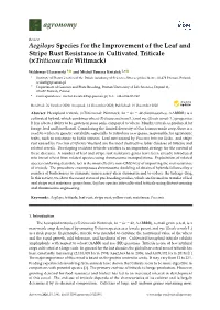 Aegilops Species for the Improvement of the Leaf and Stripe Rust Resistance in Cultivated Triticale (×Triticosecale Wittmack)