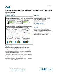Ancestral Circuits for the Coordinated Modulation of Brain State