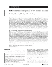 Inflorescence Development in Two Tomato Species
