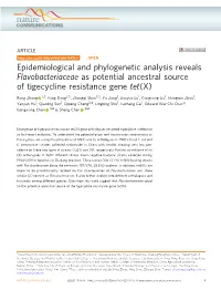 Epidemiological and Phylogenetic Analysis Reveals Flavobacteriaceae As Potential Ancestral Source of Tigecycline Resistance Gene Tet(X)