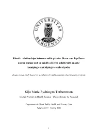 Master Thesis, but Also All the Good Times We Have Spent Together These Two Year