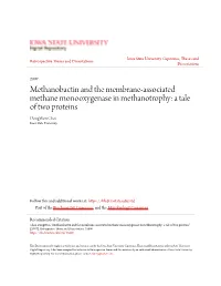 Methanobactin and the Membrane-Associated Methane Monooxygenase in Methanotrophy: a Tale of Two Proteins Dongwon Choi Iowa State University