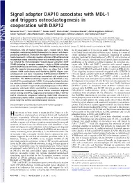 Signal Adaptor DAP10 Associates with MDL-1 and Triggers Osteoclastogenesis in Cooperation with DAP12