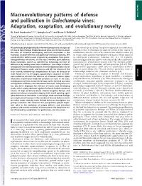 Macroevolutionary Patterns of Defense and Pollination in Dalechampia