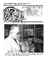ROBERT BAUDY with Two of His Yearling Clouded Leopards. The